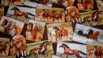 Happy Trails Postcards